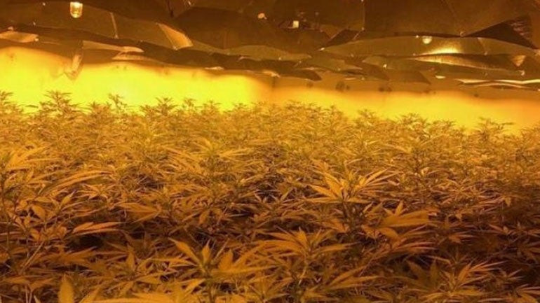 Βρετανία: Μέλη συμμορίας μετέτρεψε πρώην πυρηνικό καταφύγιο σε βιομηχανία παραγωγής… χασίς